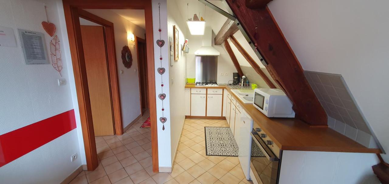 Apartamento Gaby Et Georges Beblenheim Exterior foto